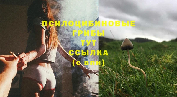 героин Алзамай