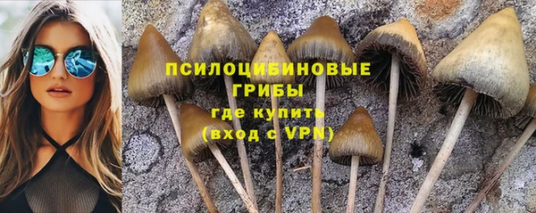 синтетический гашиш Алексин