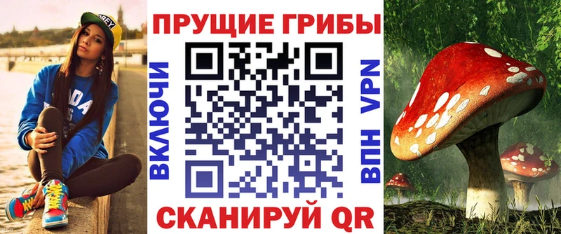 blacksprut ссылки  Боровичи  Галлюциногенные грибы GOLDEN TEACHER 